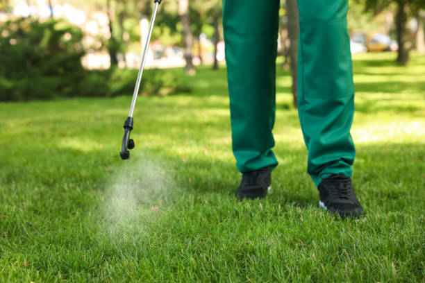 Best Commercial Pest Control Services  in Enoch, UT